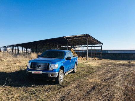 Ford F-150, 2010