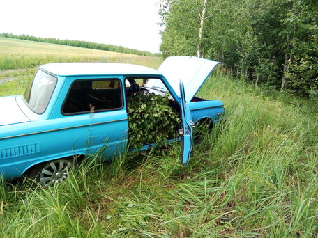 ЗАЗ 968, 1985
