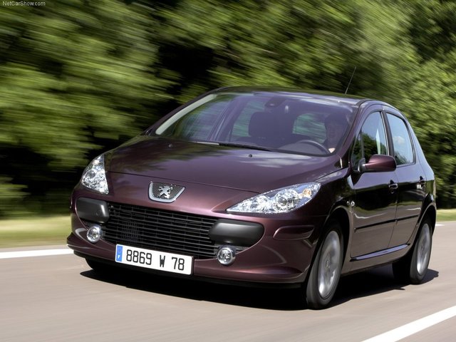 Peugeot 307, 2007