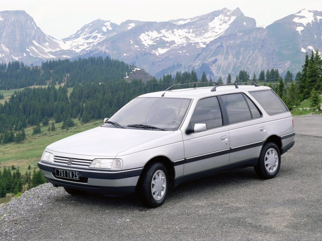 Peugeot 405, 1990
