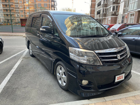Toyota Alphard, 2006