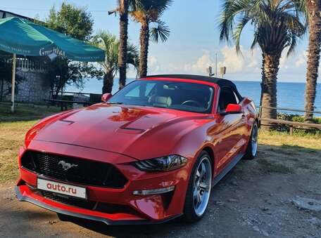 Ford Mustang, 2019